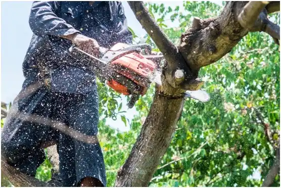 tree services South Greensburg